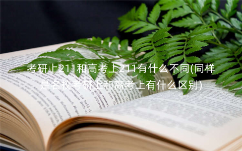 考研上211和高考上211有什么不同(同样是名校考研上和高考上有什么区别) 考研上211和高考上211有什么不同(同样是名校考研上和高考上有什么区别)