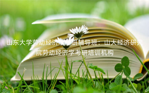 山东大学劳动经济学考研辅导班:山大经济研究院劳动经济学考研培训机构 山东大学劳动经济学考研辅导班:山大经济研究院劳动经济学考研培训机构
