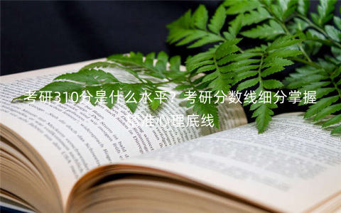 考研310分是什么水平?考研分数线细分掌握精准心理底线 考研310分是什么水平?考研分数线细分掌握精准心理底线